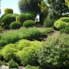 Najpiękniejsze ogrody » Parafia w Jodlowej